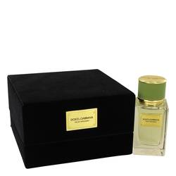 Dolce & Gabbana Velvet Bergamot Eau De Parfum Spray By Dolce & Gabbana