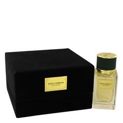 Dolce & Gabbana Velvet Vetiver Eau De Parfum Spray By Dolce & Gabbana