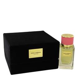 Dolce & Gabbana Velvet Rose Eau De Parfum Spray By Dolce & Gabbana